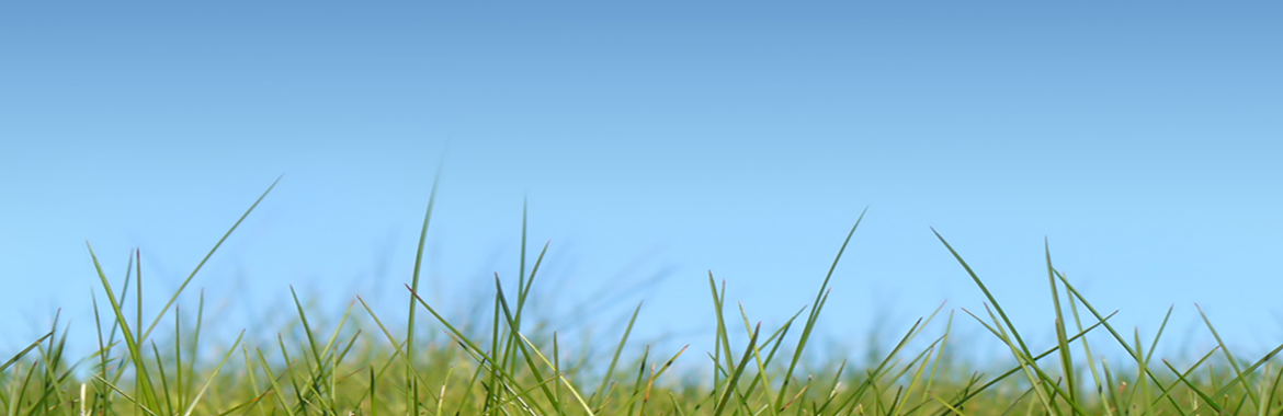 slide_bg
